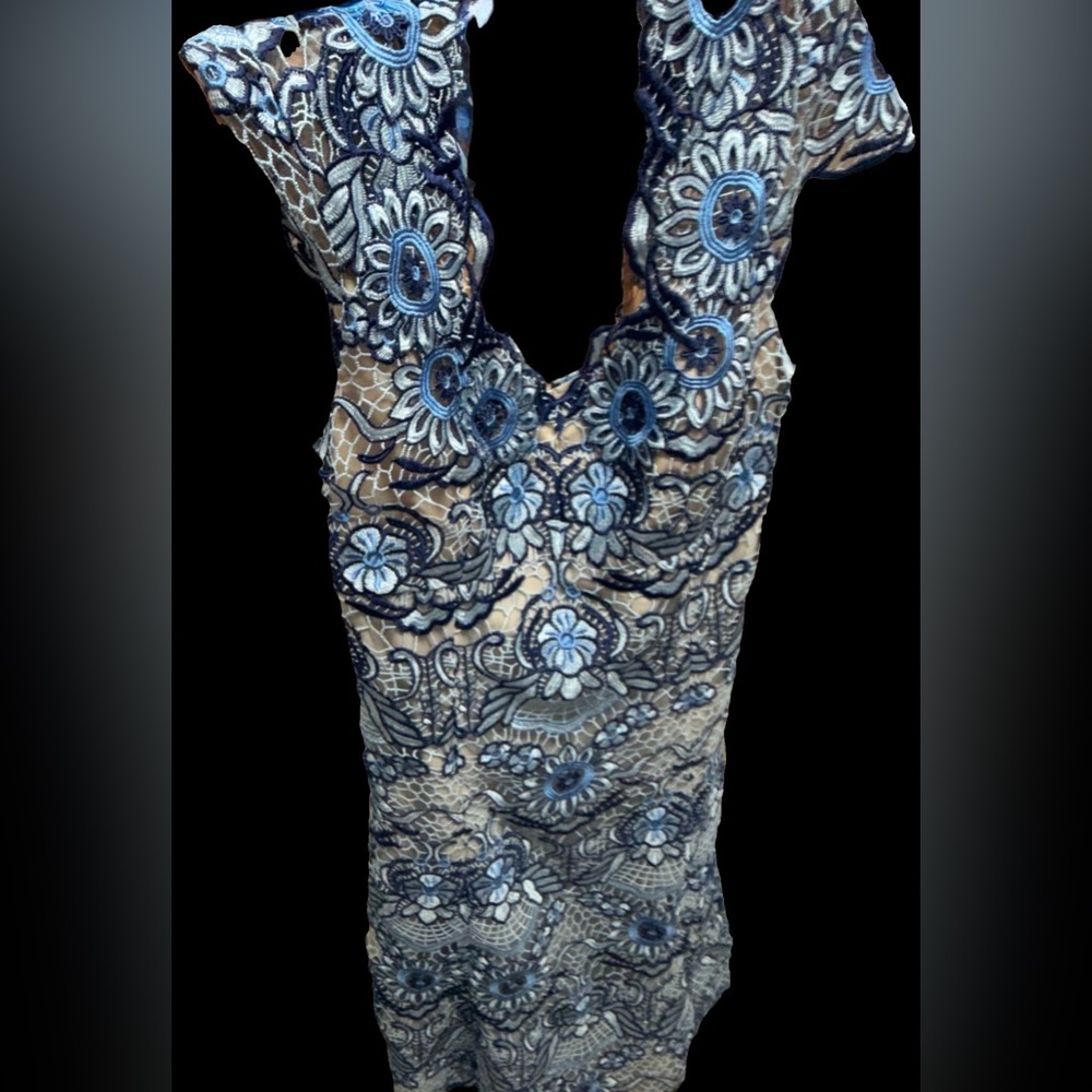 Anthropology Sara Emmanuel Floral Lace Dress with Blue Accents